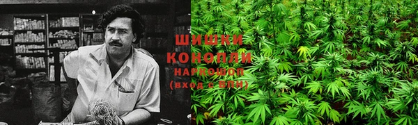дурь Абаза