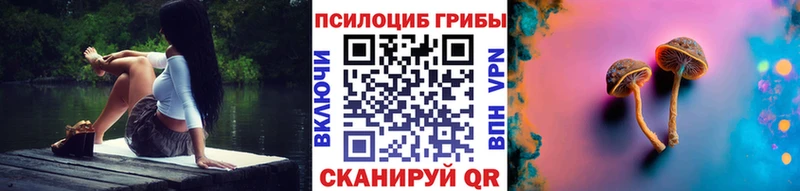 Галлюциногенные грибы MAGIC MUSHROOMS  наркотики  Киренск 